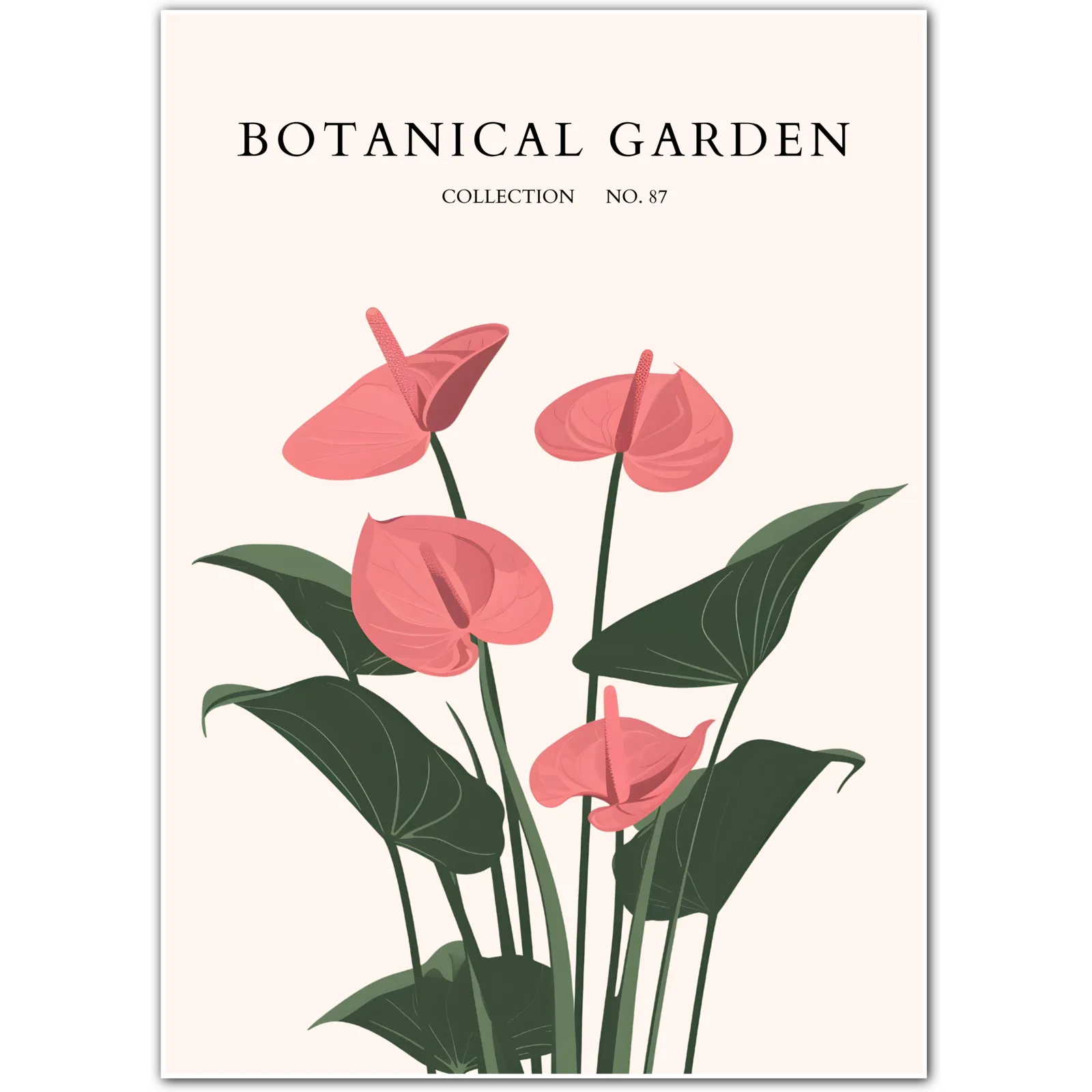 Anthurium Grace – Tropical Blush Flower Print