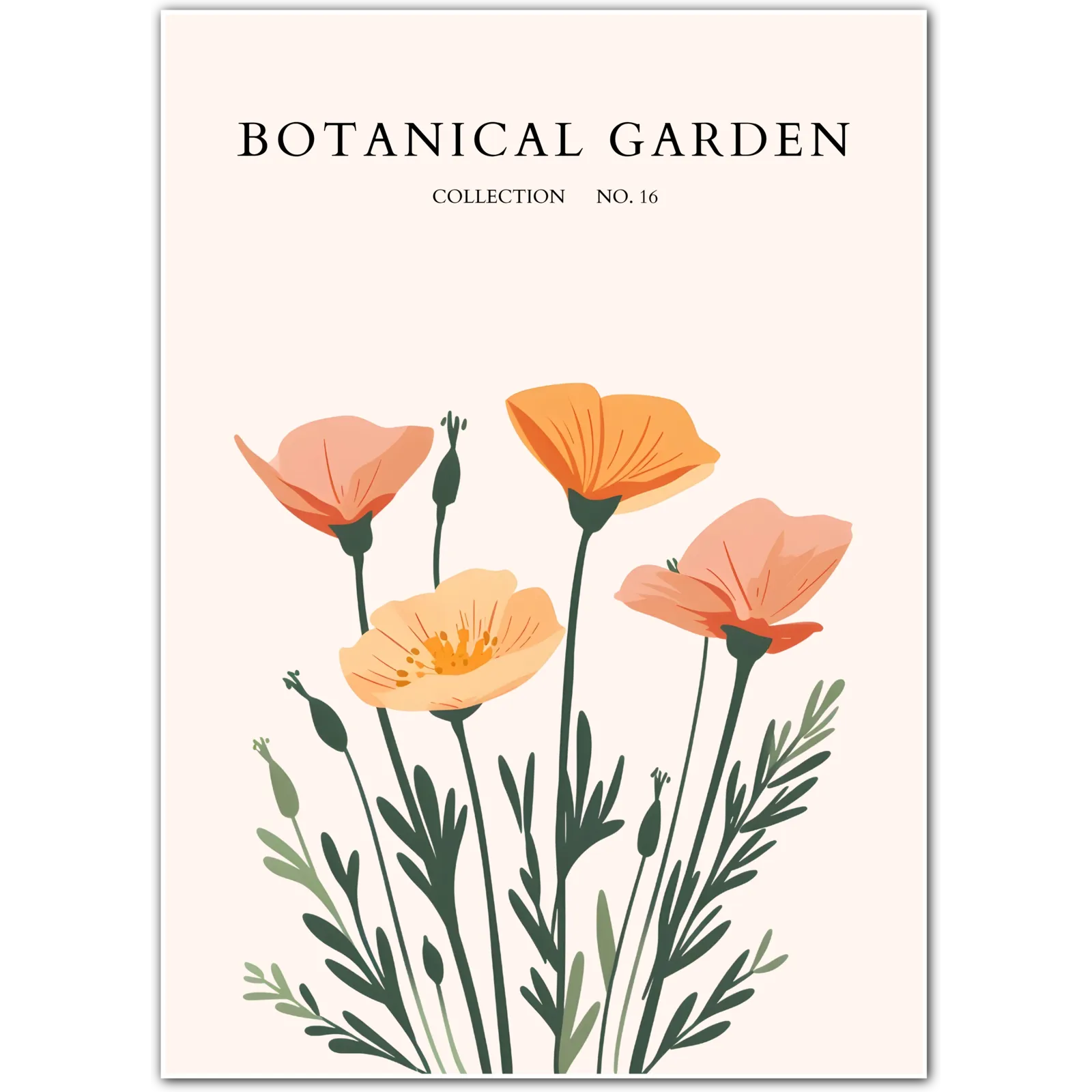 Peach Meadow Poppies Botanical Art Print