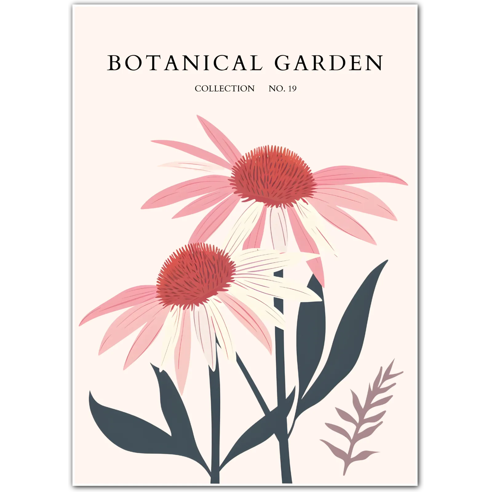 Pink Coneflower Botanical Poster