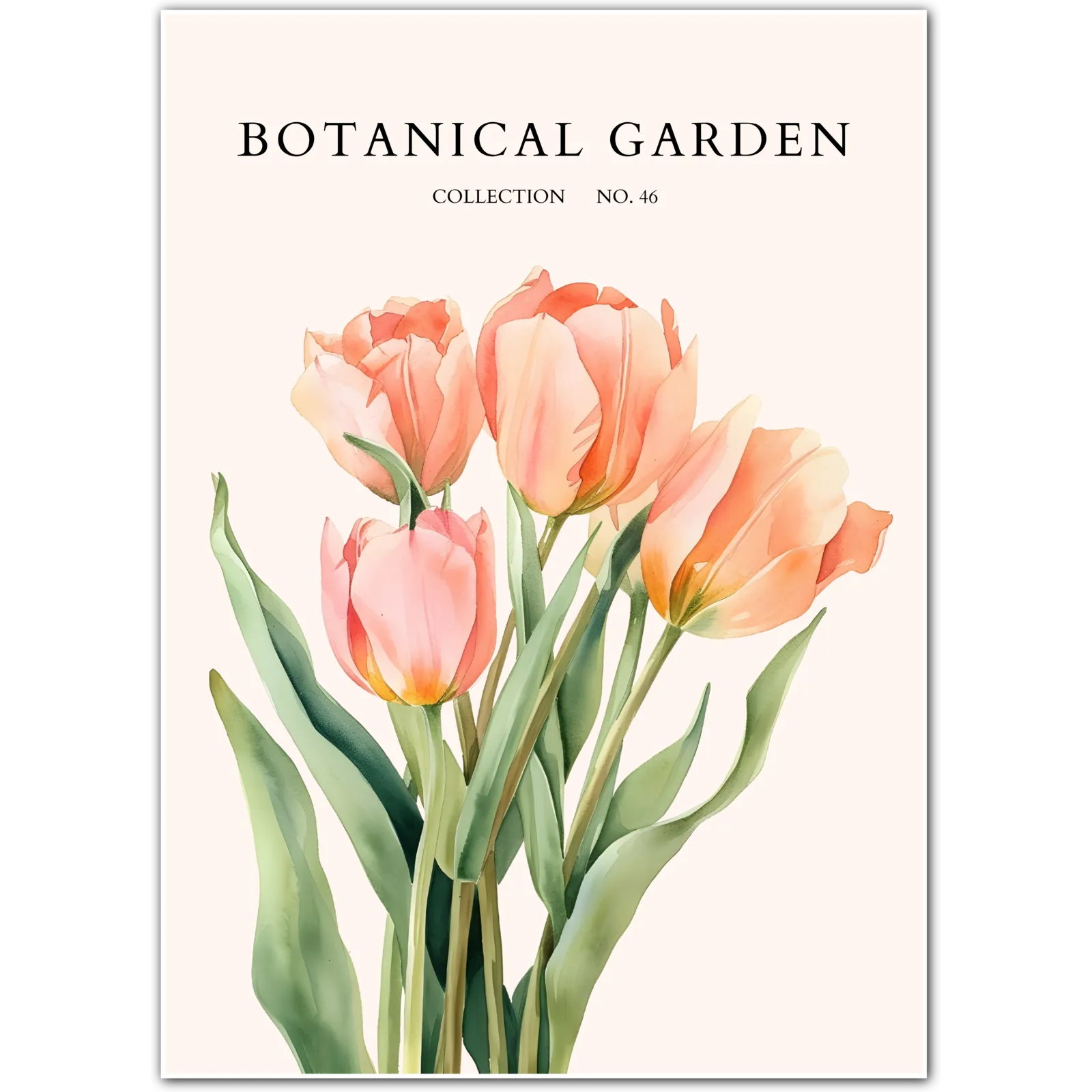 Whimsical Wildflowers Botanical Illustration