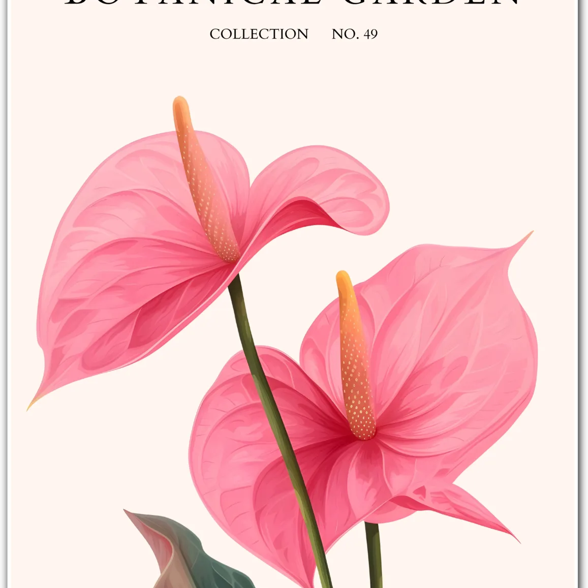 Radiant Pink Anthurium Floral Print – Tropical Elegance for Your Wall