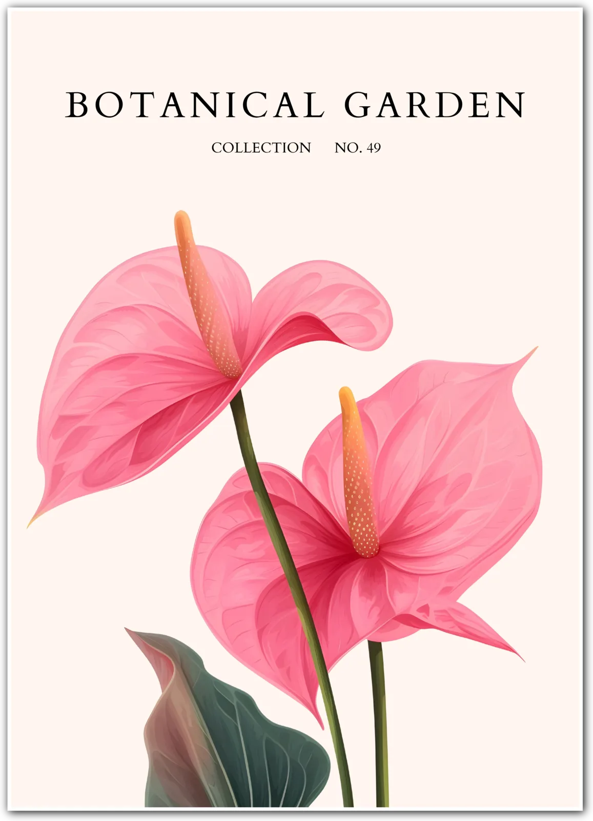 Radiant Pink Anthurium Floral Print – Tropical Elegance for Your Wall