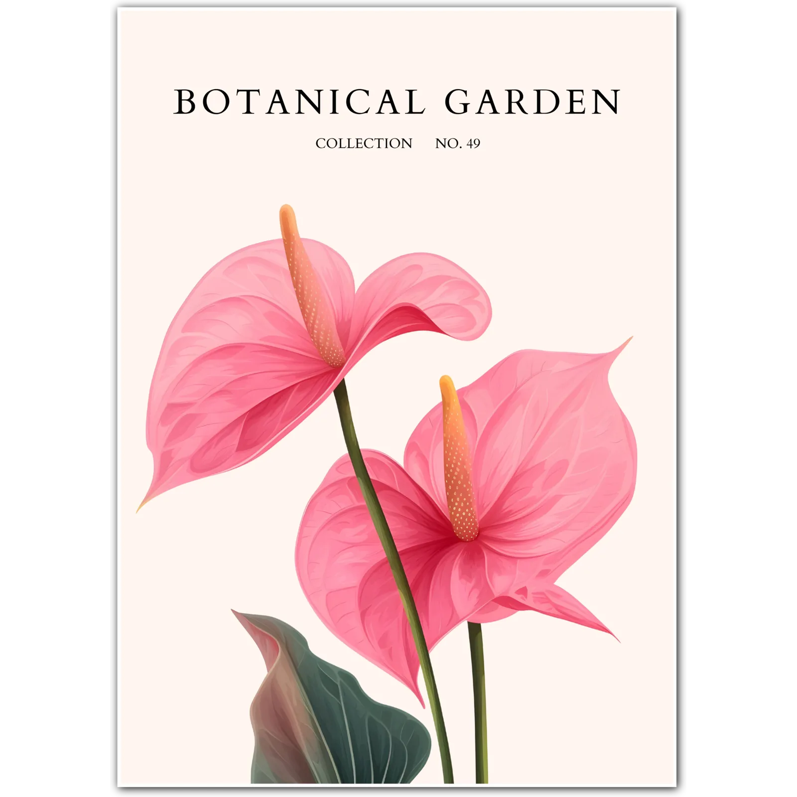 Radiant Pink Anthurium Floral Print – Tropical Elegance for Your Wall