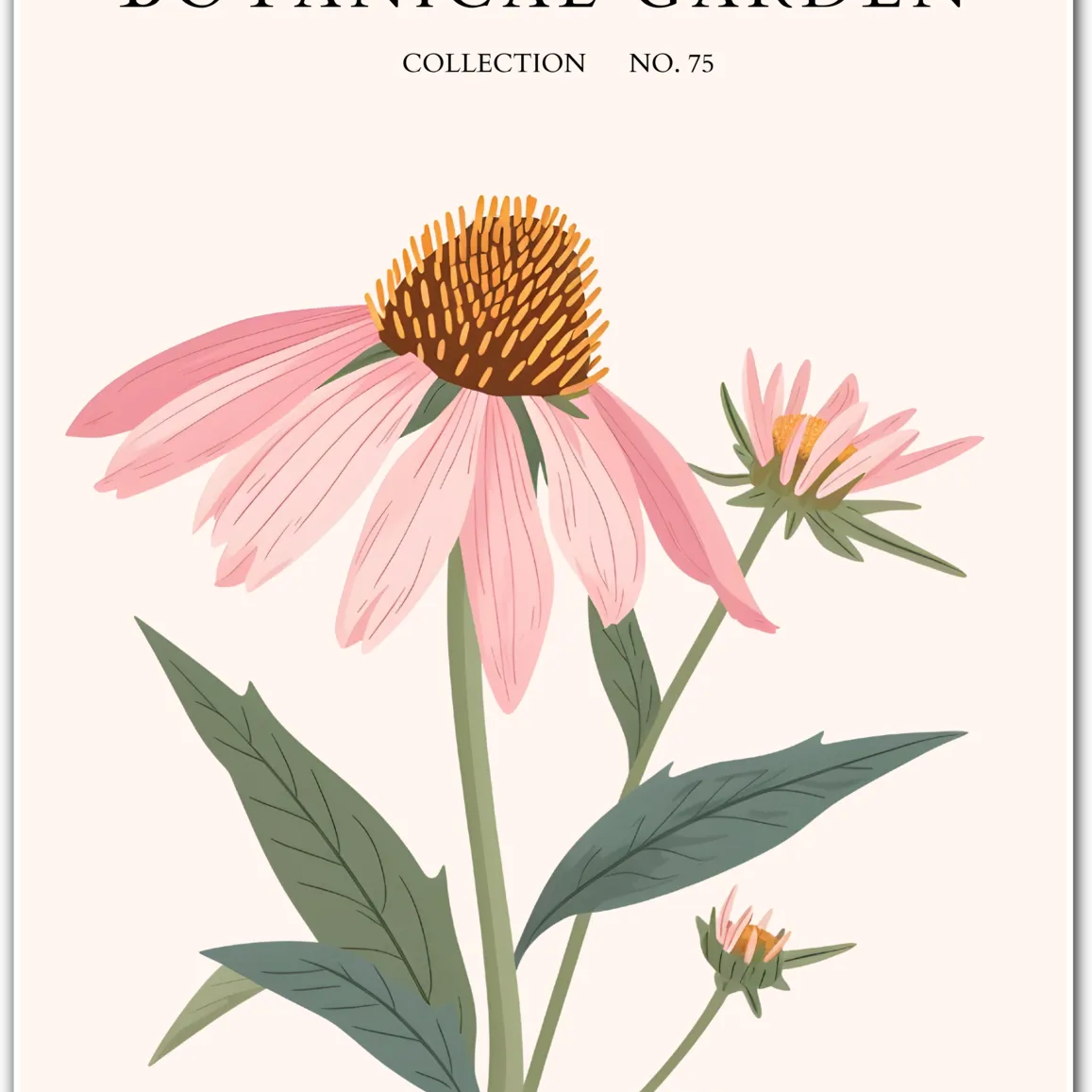 Pink Coneflower Botanical Art Print – Echinacea Elegance with Vintage Flair