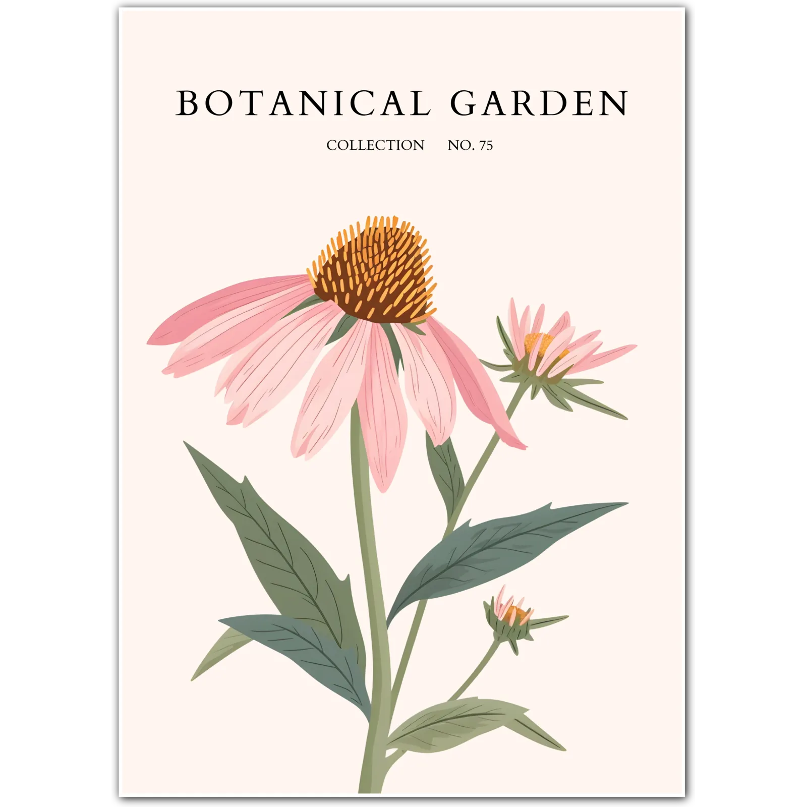 Pink Coneflower Botanical Art Print – Echinacea Elegance with Vintage Flair
