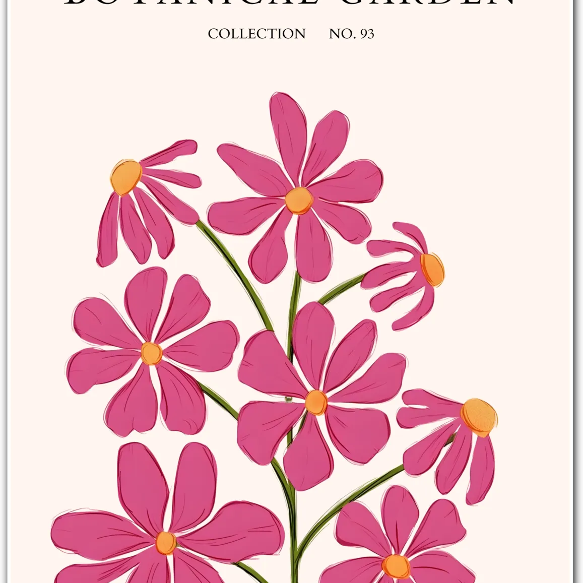 Wild Magenta Cosmos Botanical Art Print – Joyful Pink Floral Illustration