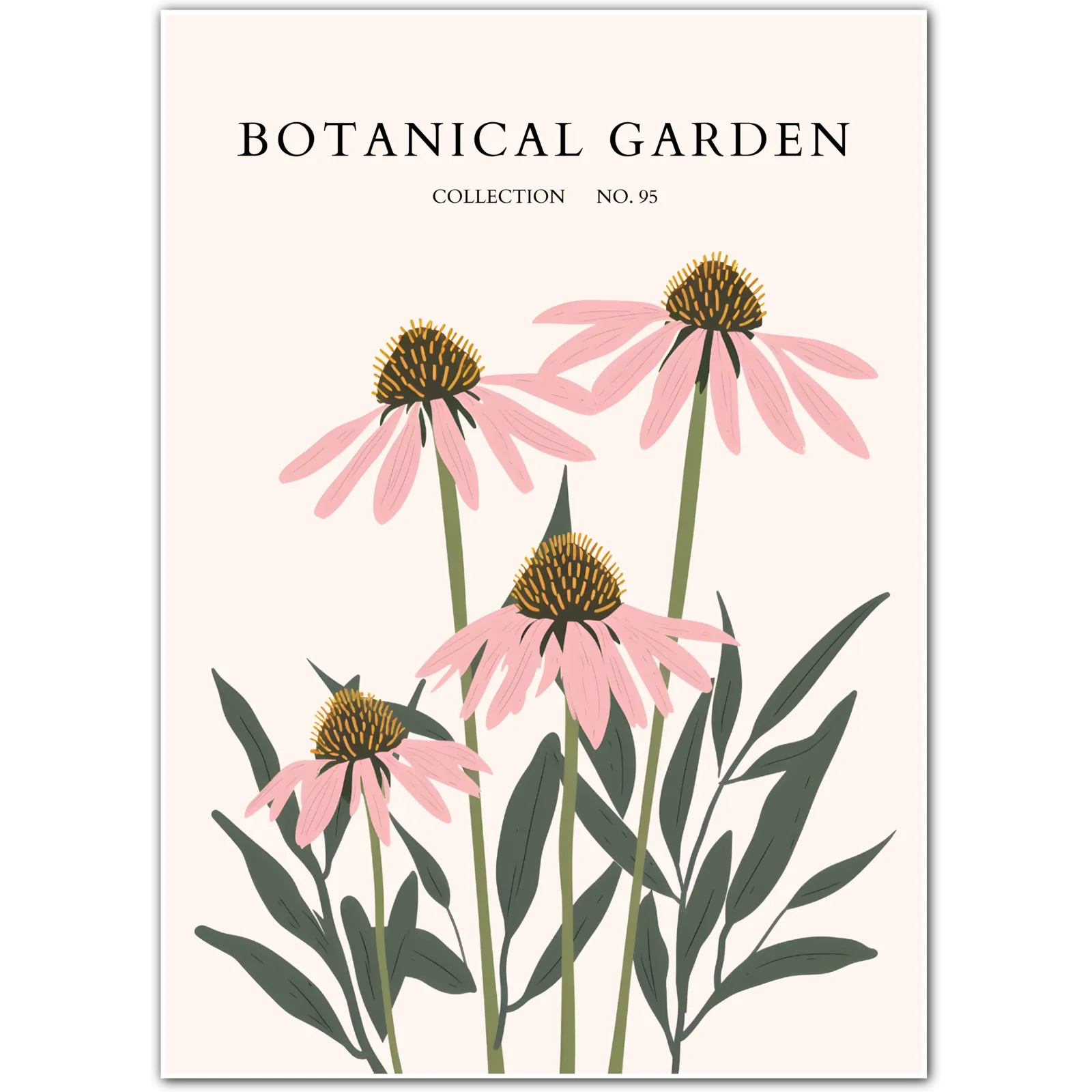 Blush Coneflower Botanical Art Print – Delicate Prairie Bloom Elegance