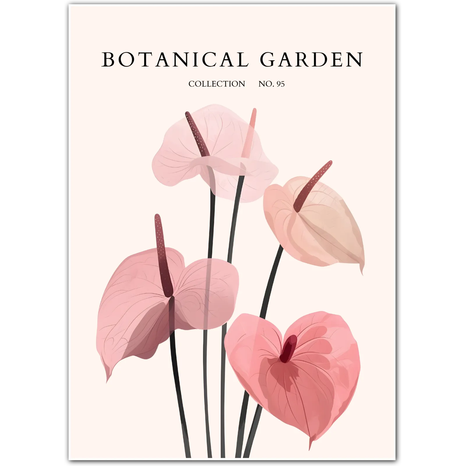 Anthurium Grace – Blush Heart Petal Art Print
