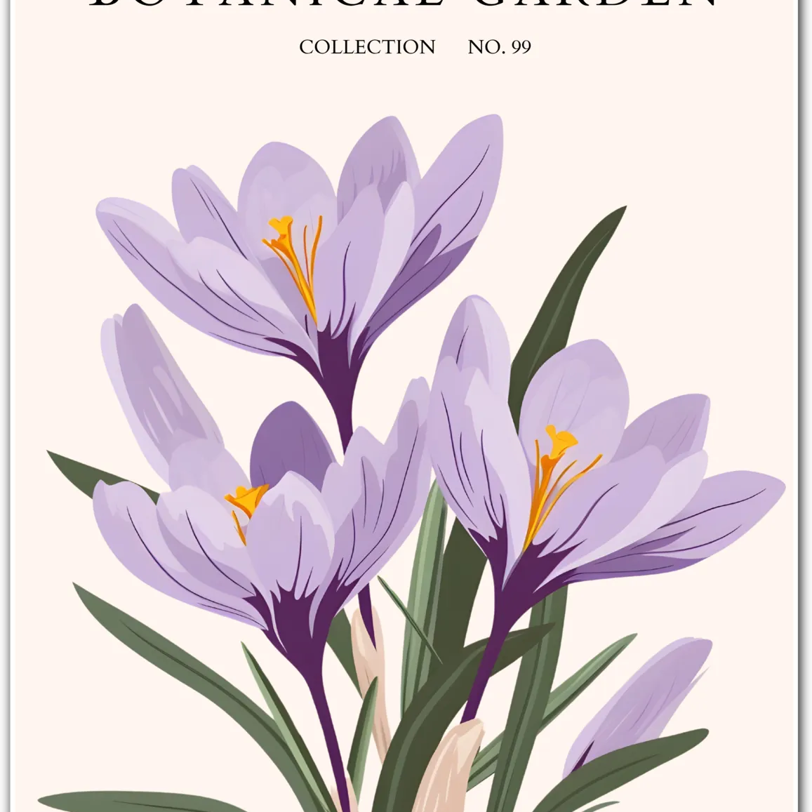 Saffron Crocus Botanical Illustration Art Print