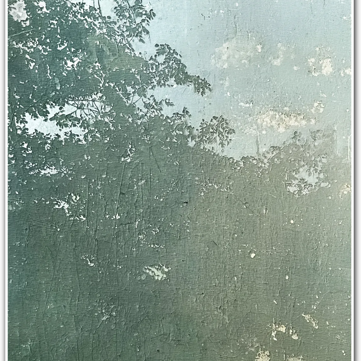 Canopy Shadows – Subtle Forest Layered Botanical Print