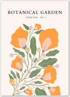 Californian Poppies – Vintage Botanical Wall Art