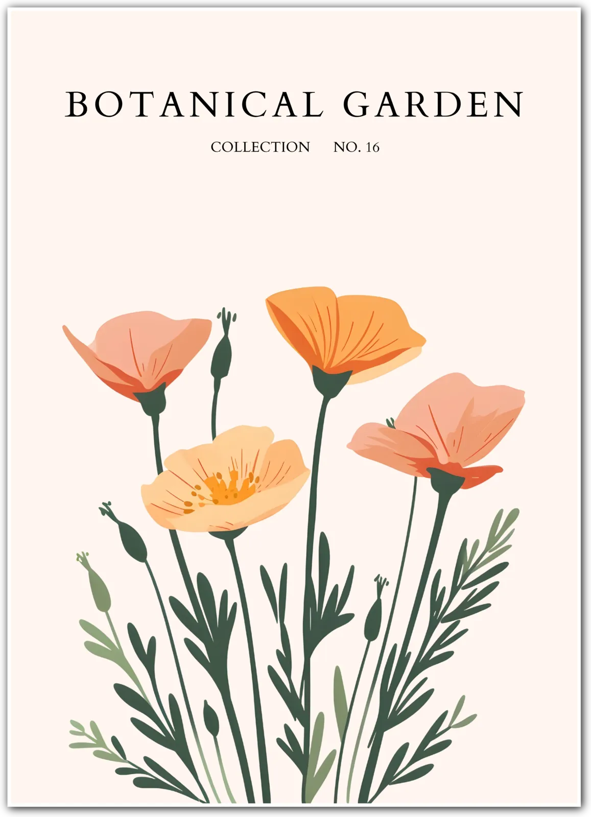 Peach Meadow Poppies Botanical Art Print