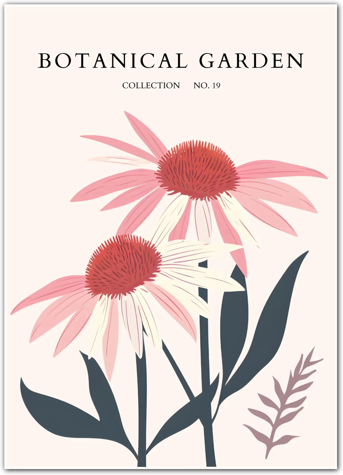 Pink Coneflower Botanical Poster