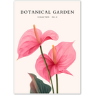 Radiant Pink Anthurium Floral Print – Tropical Elegance for Your Wall