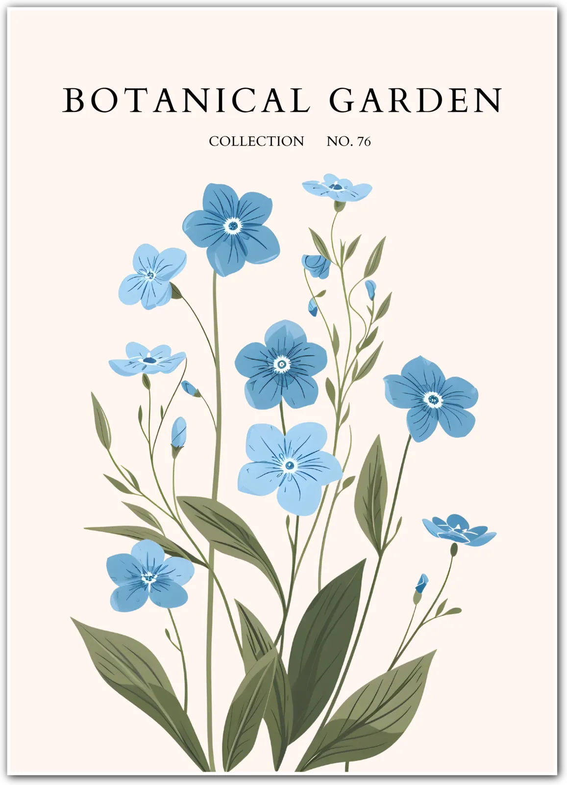 Cornflower Blue Wildflower Botanical Print – Delicate Floral with Cottage Charm