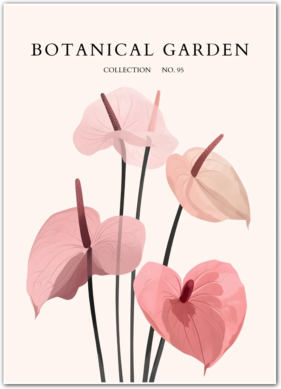 Anthurium Grace – Blush Heart Petal Art Print