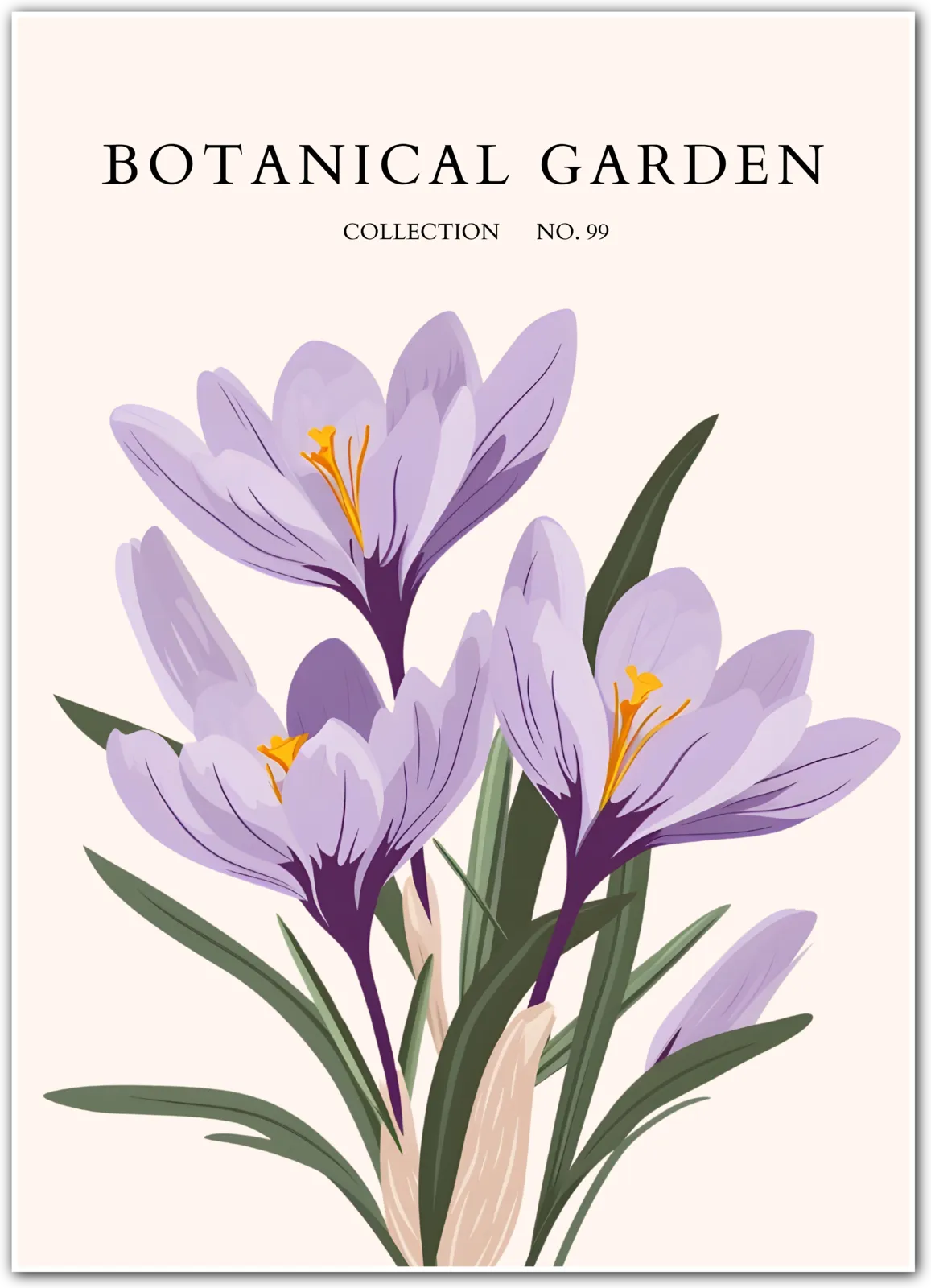 Saffron Crocus Botanical Illustration Art Print