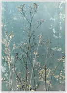 Whispers of Meadow Light – Soft Blue Botanical Art Print