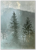 Twilight Pines – Atmospheric Forest Depths Wall Art