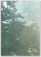 Canopy Shadows – Subtle Forest Layered Botanical Print