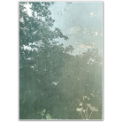 Canopy Shadows – Subtle Forest Layered Botanical Print