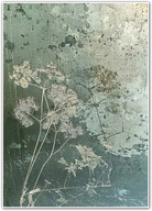 Umbel Reverie – Fine Botanical Art in Verdigris Green