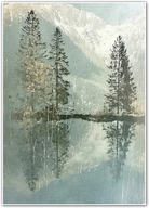 Alpine Silence – Snow-Capped Forest Reflection Print