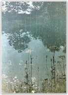 Meadow's Edge – Wildflower Lake Botanical Scene