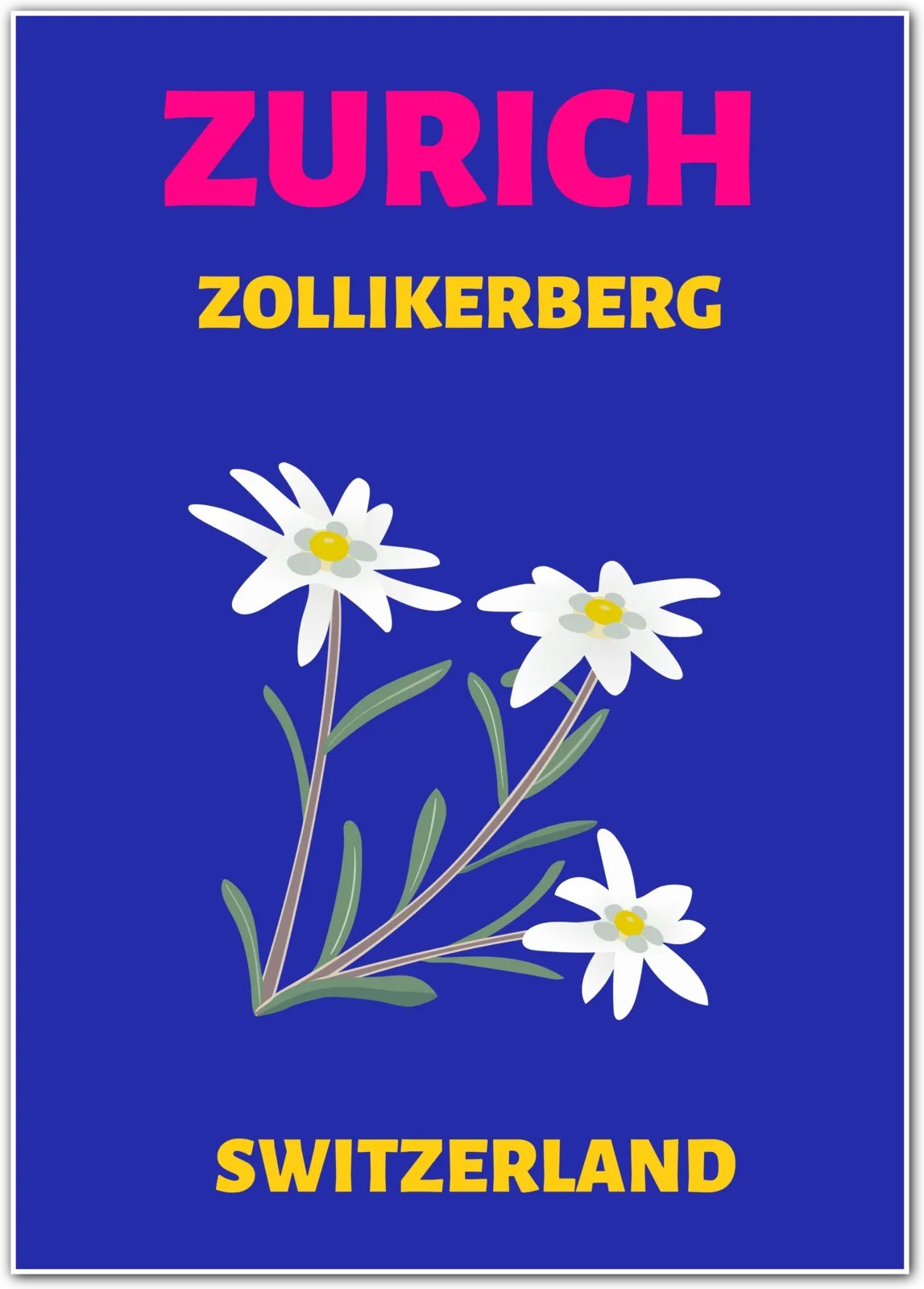 Zurich Switzerland Art Print – Edelweiss Alpine Flowers