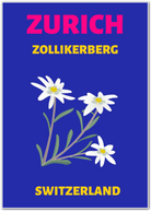 Zurich Switzerland Art Print – Edelweiss Alpine Flowers