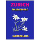 Zurich Switzerland Art Print – Edelweiss Alpine Flowers