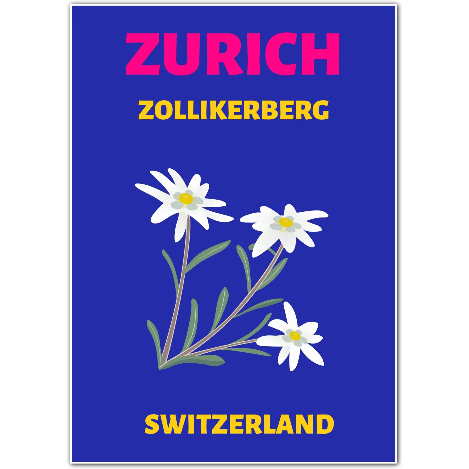 Zurich Switzerland Art Print – Edelweiss Alpine Flowers